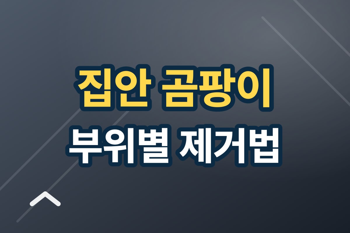 집안 곰팡이 제거 방법 — 부위별 총정리